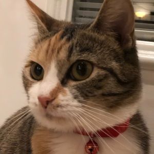 Meet your Posher, Julia